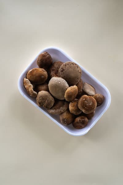 Shiitake
